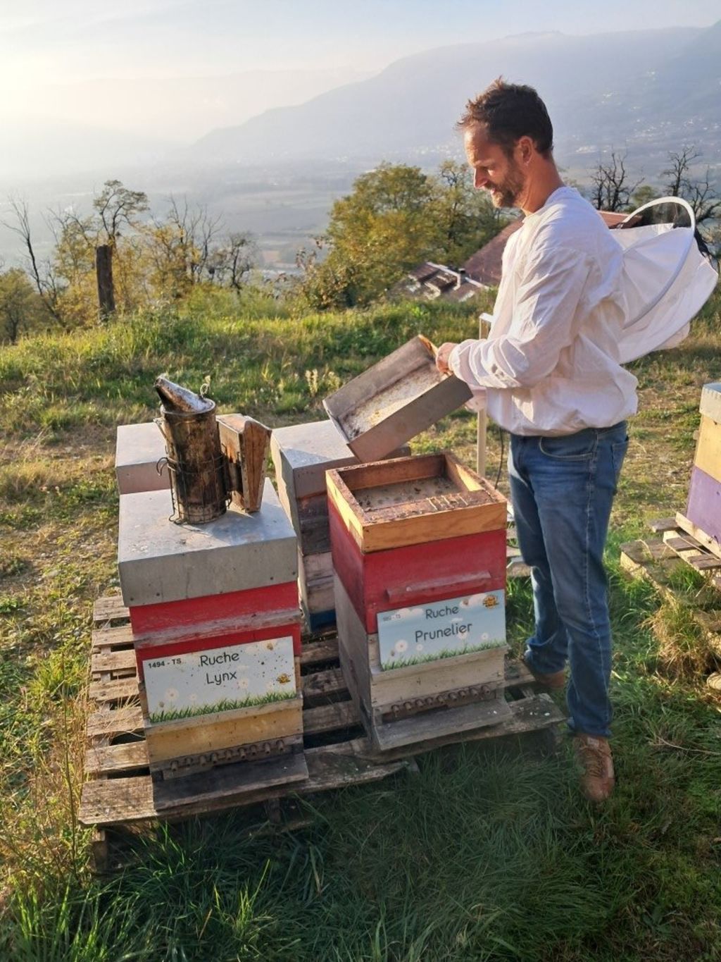 La ruche Prunelier