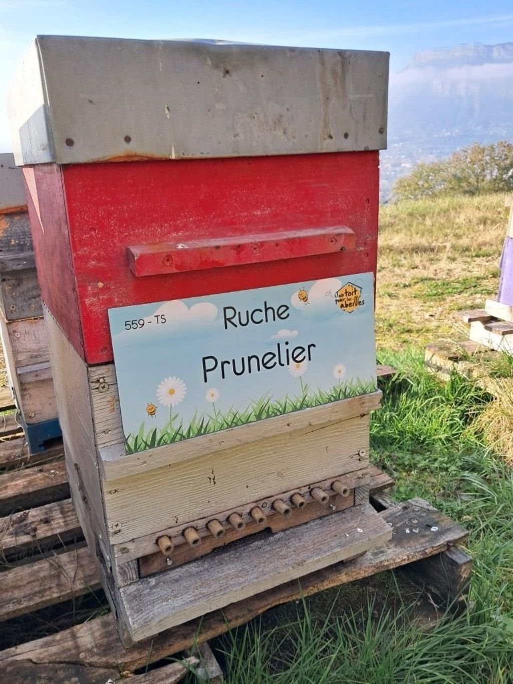 La ruche Prunelier