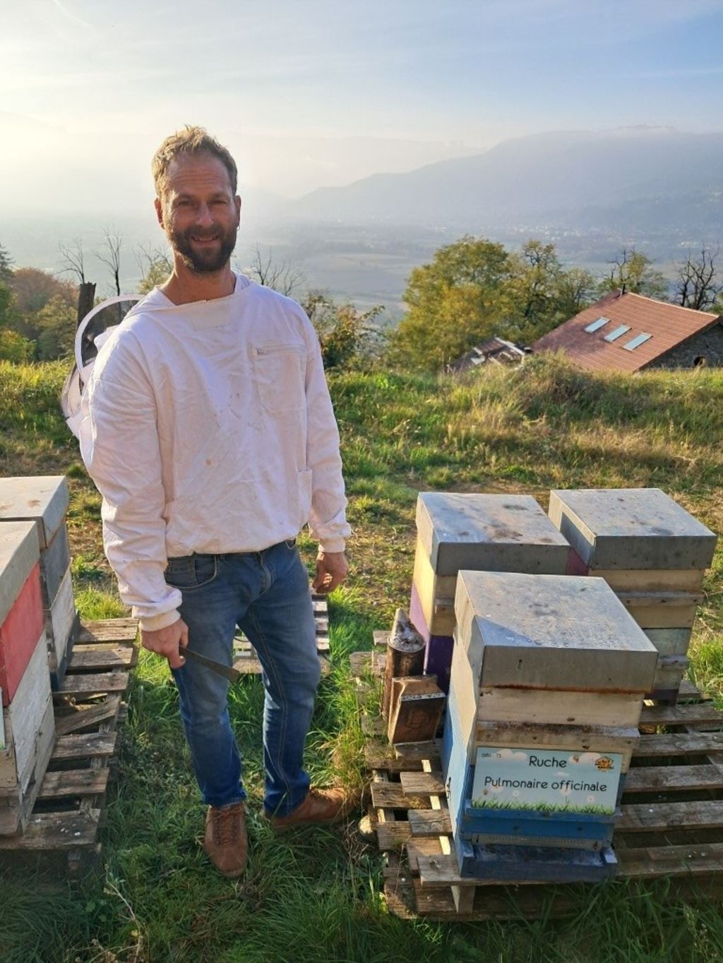 La ruche Pulmonaire officinale