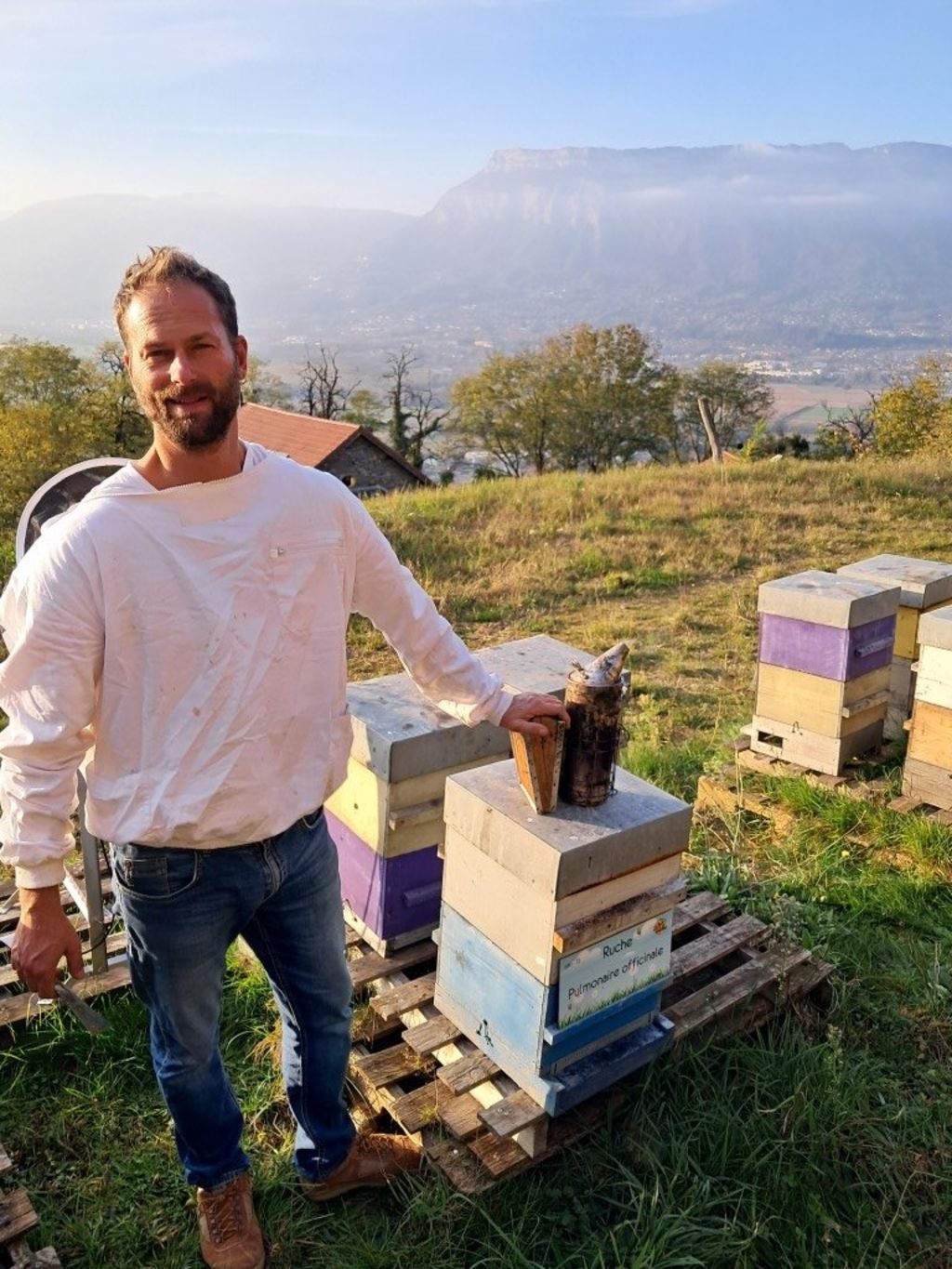 La ruche Pulmonaire officinale