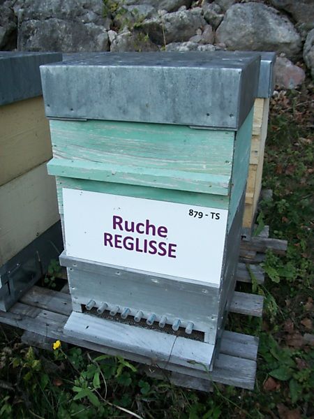La ruche