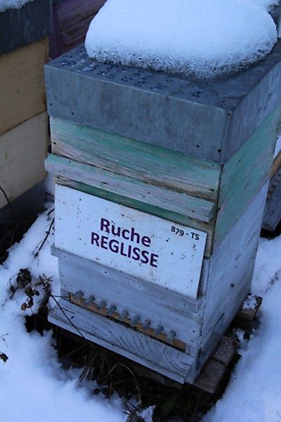 La ruche Réglisse