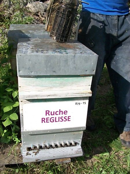 La ruche Réglisse