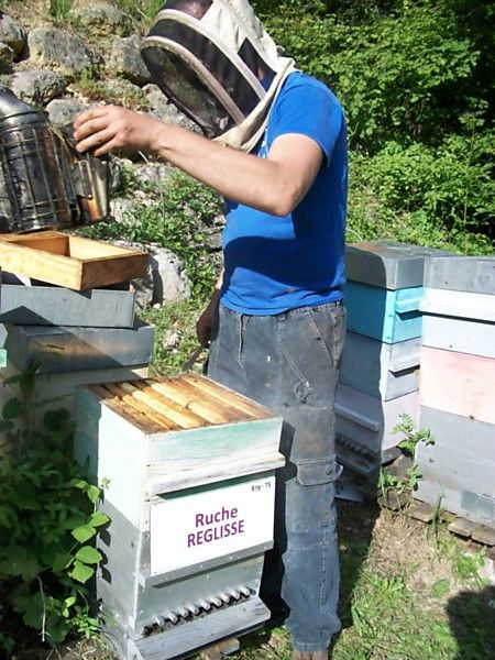 La ruche Réglisse