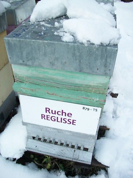 La ruche Réglisse