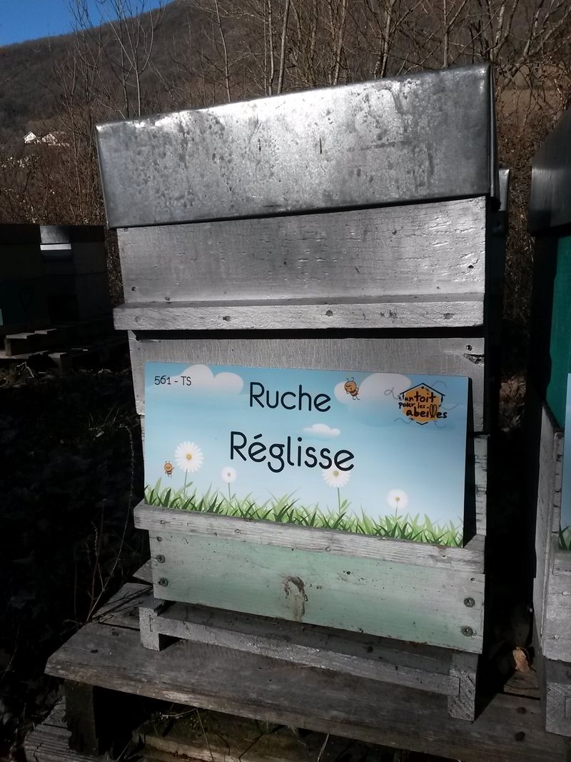 La ruche Réglisse
