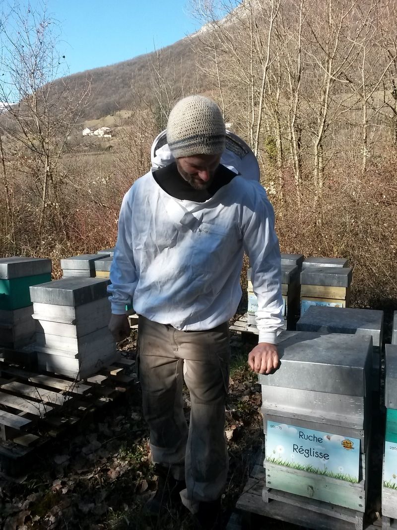 La ruche Réglisse