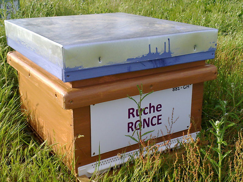 La ruche Ronce