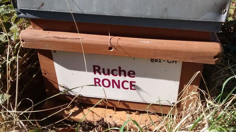 La ruche Ronce