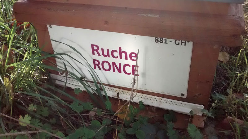 La ruche Ronce