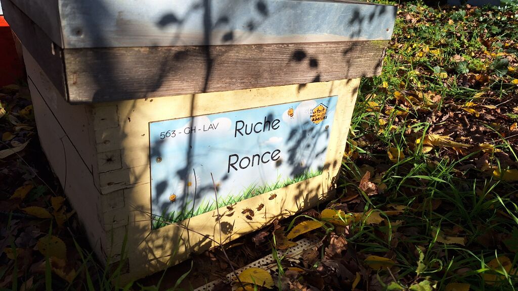 La ruche Ronce