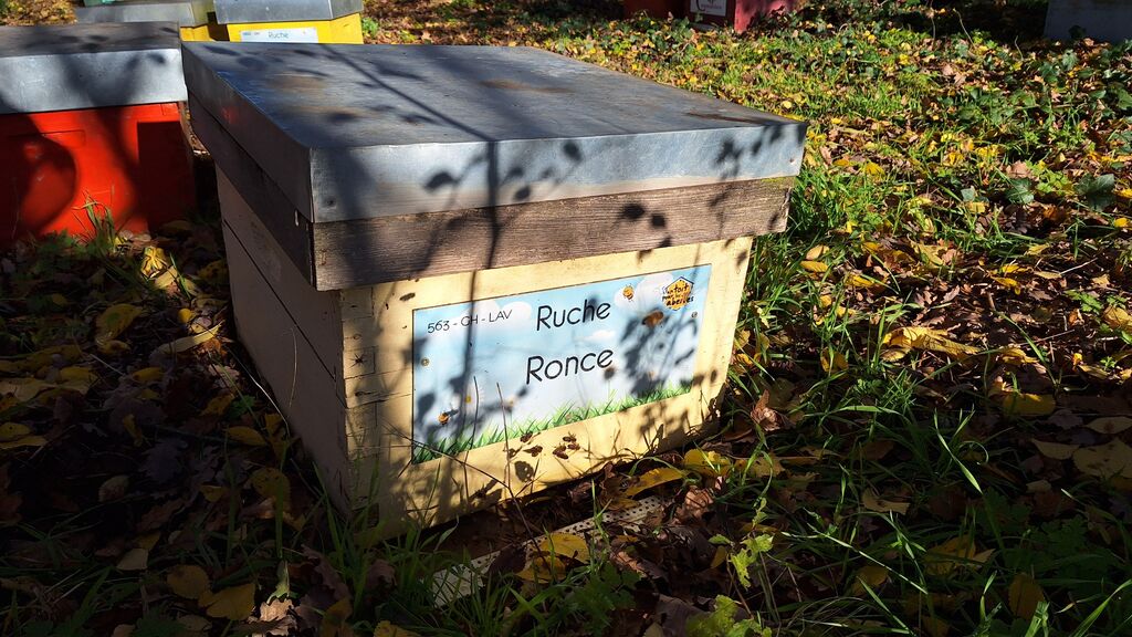 La ruche Ronce