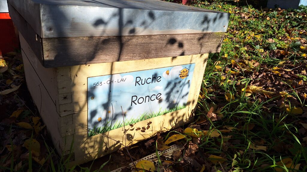 La ruche Ronce