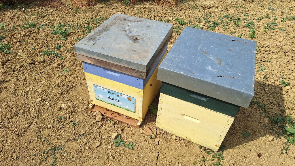 La ruche Ronce