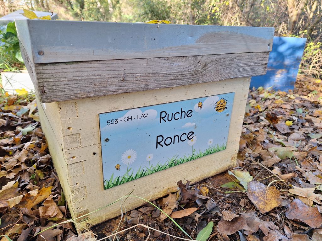 La ruche Ronce