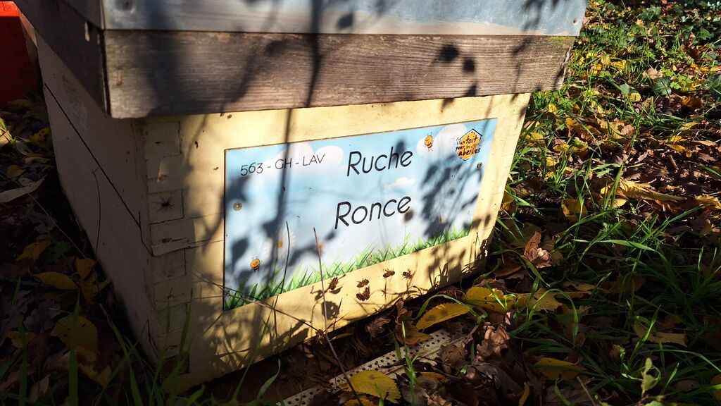 La ruche Ronce