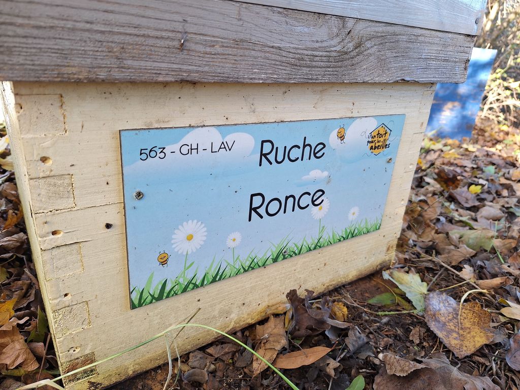 La ruche Ronce