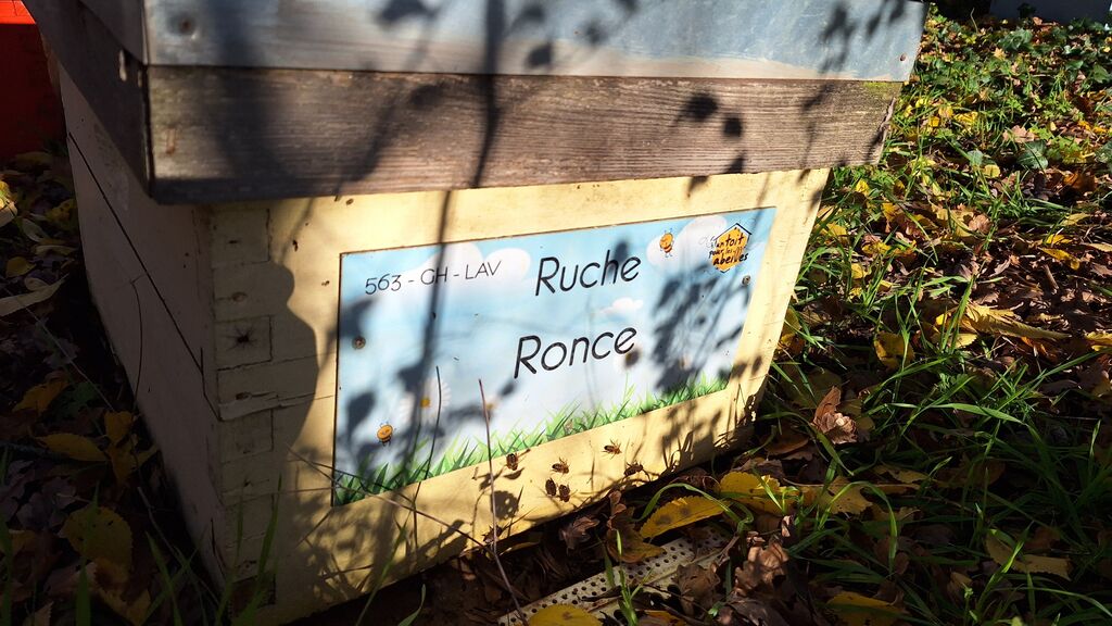 La ruche Ronce