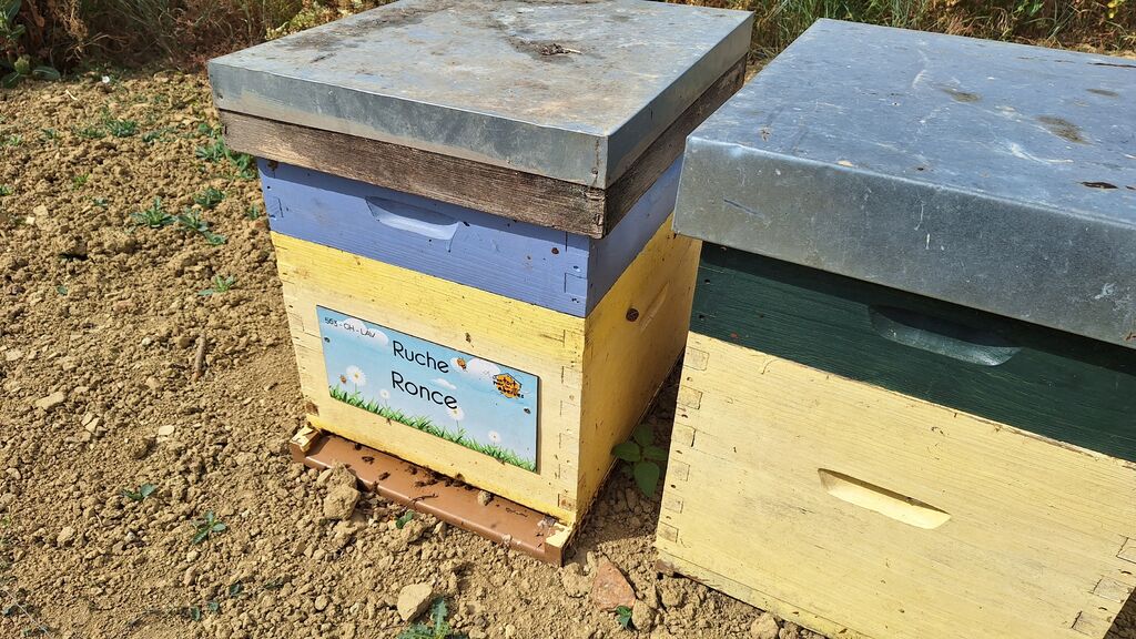 La ruche Ronce