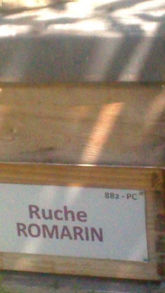 La ruche Romarin