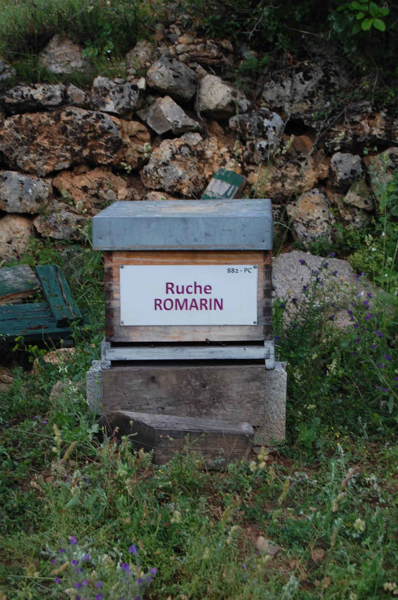 La ruche Romarin