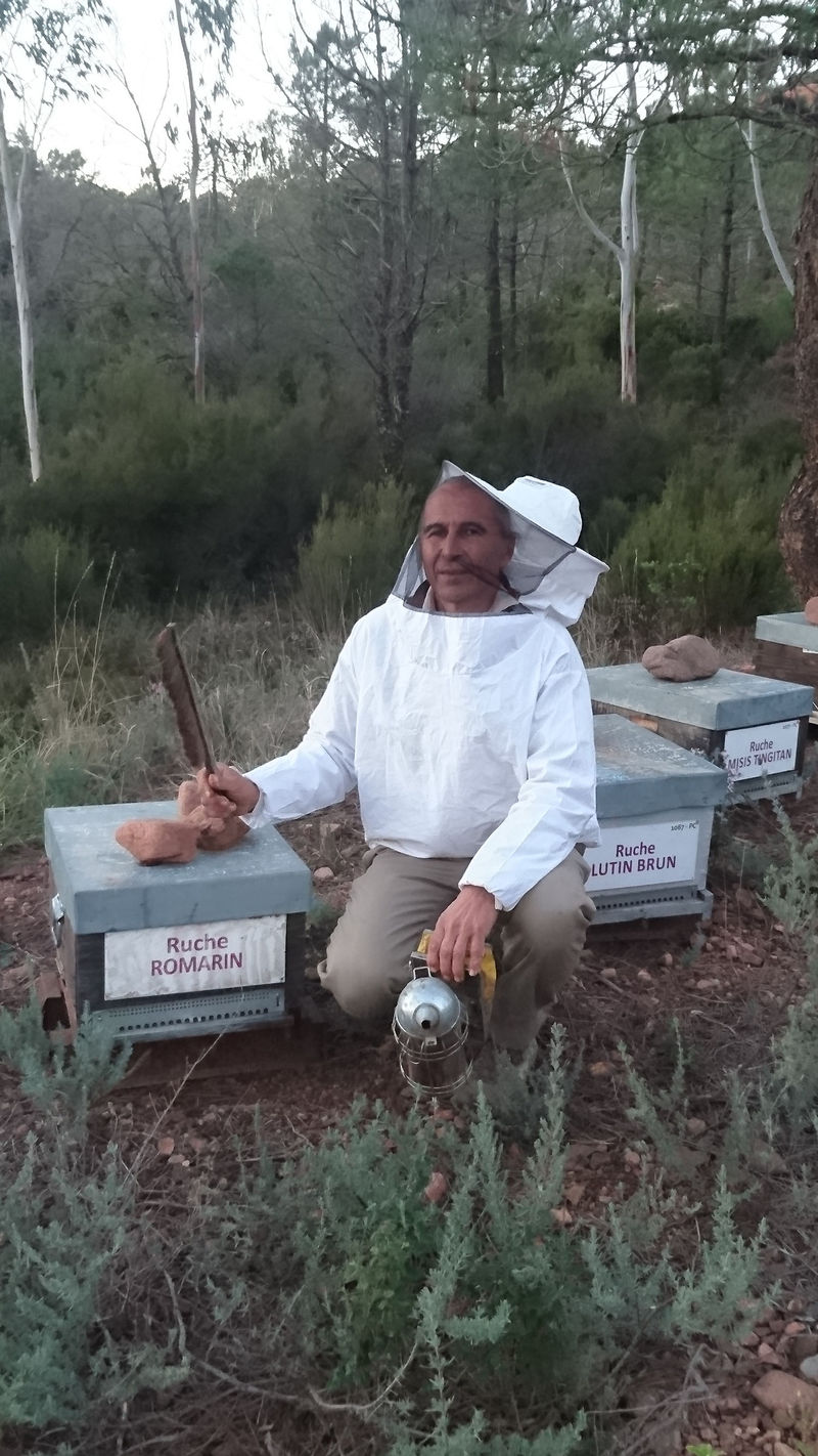 La ruche Romarin