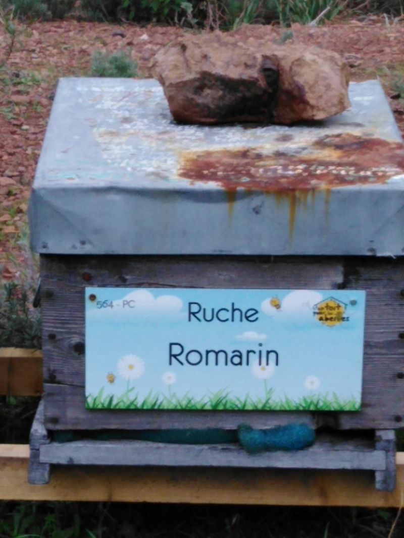 La ruche Romarin