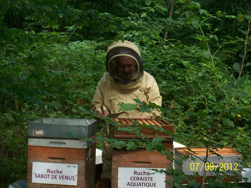 La ruche Sabot de venus