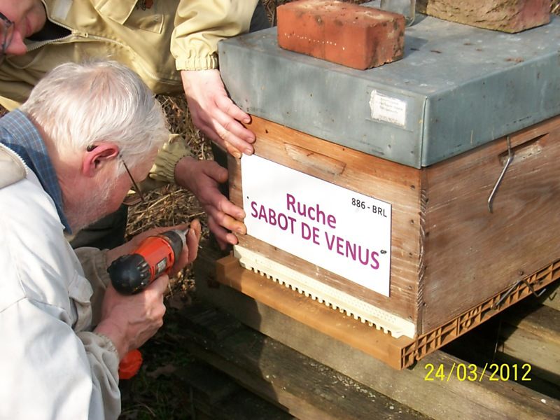 La ruche Sabot de venus