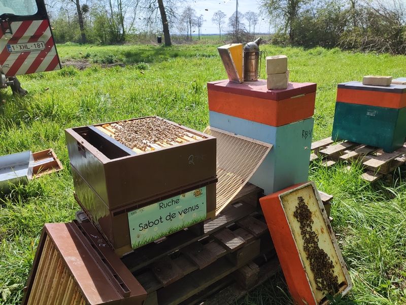 La ruche Sabot de venus