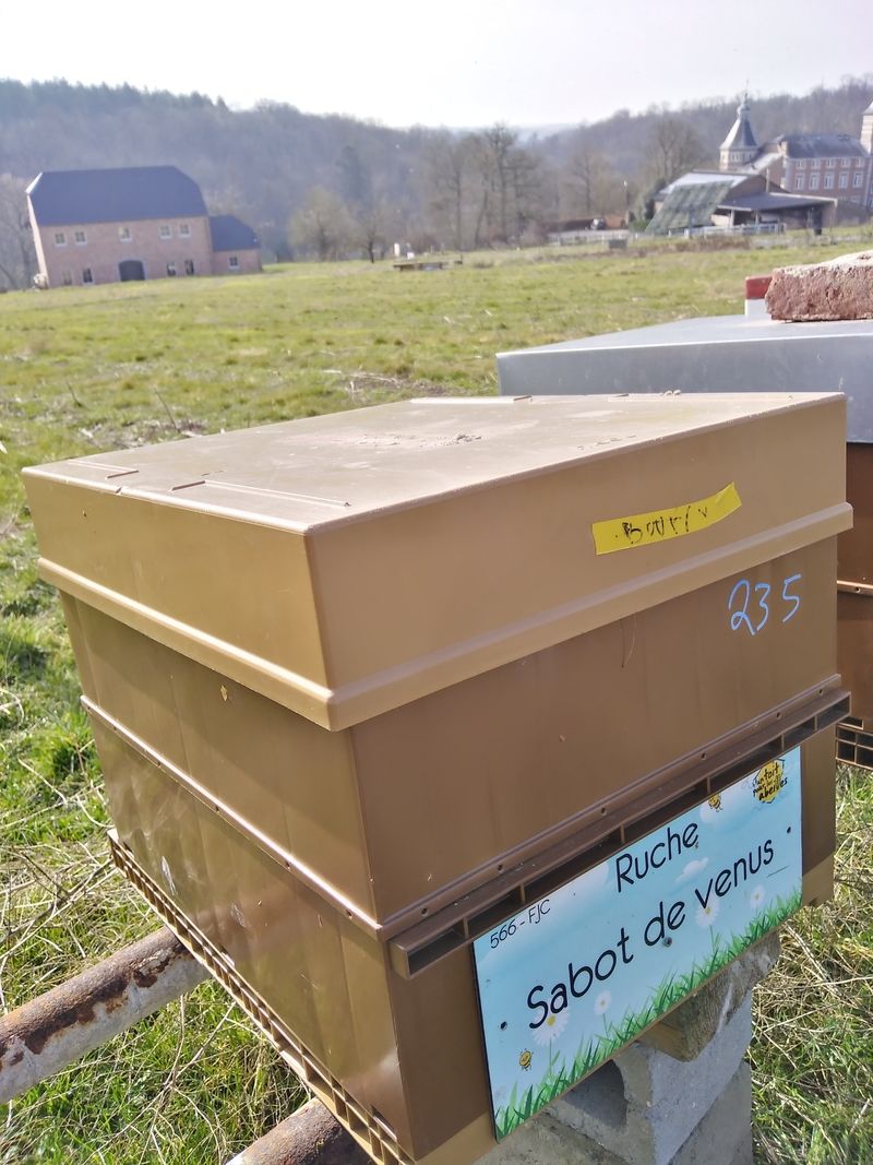 La ruche Sabot de venus