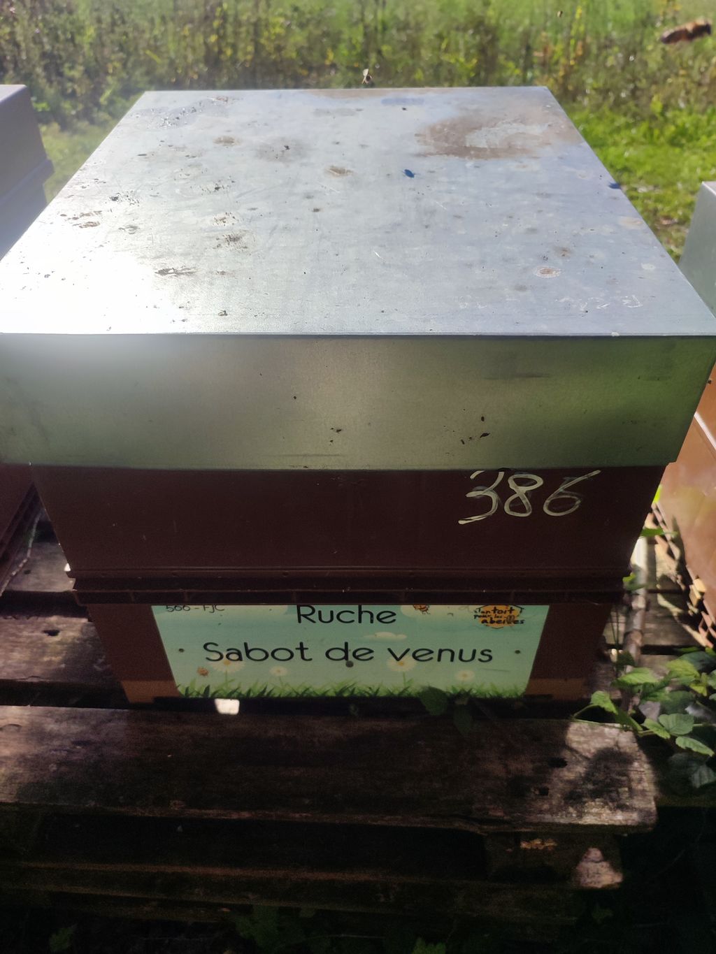 La ruche Sabot de venus