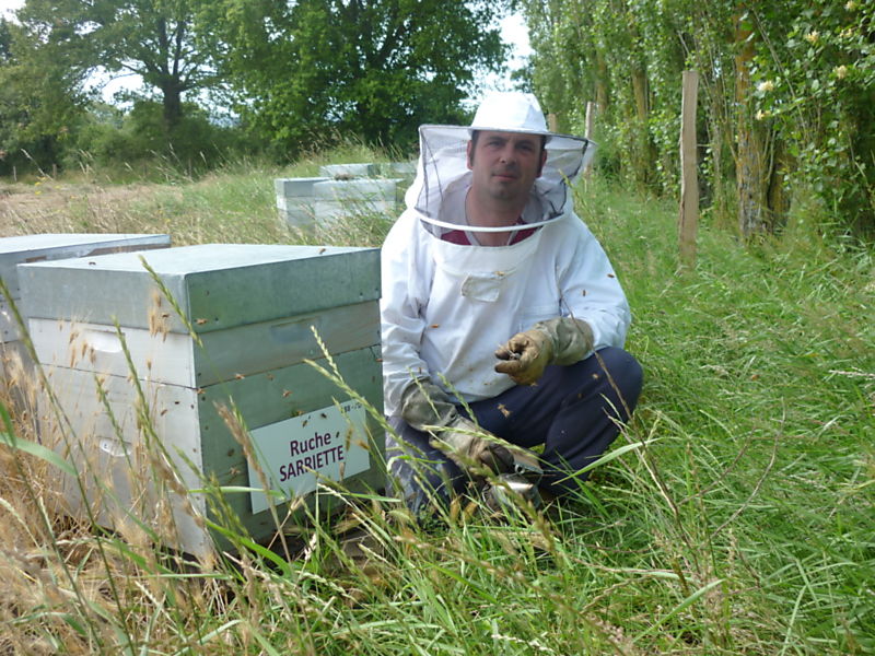 La ruche Sarriette