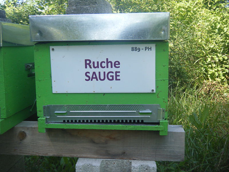La ruche Sauge