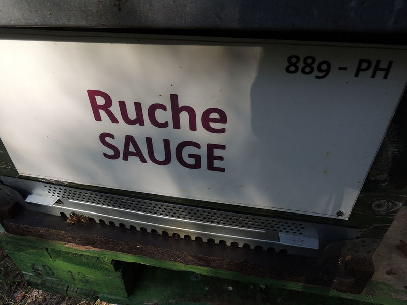 La ruche Sauge