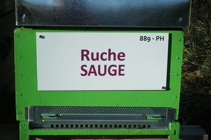 La ruche Sauge