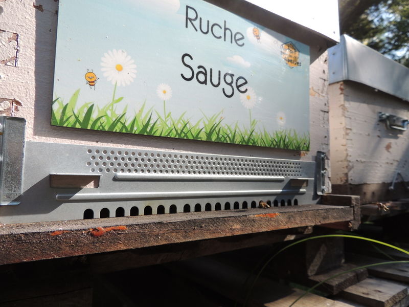La ruche Sauge