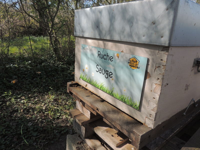 La ruche Sauge