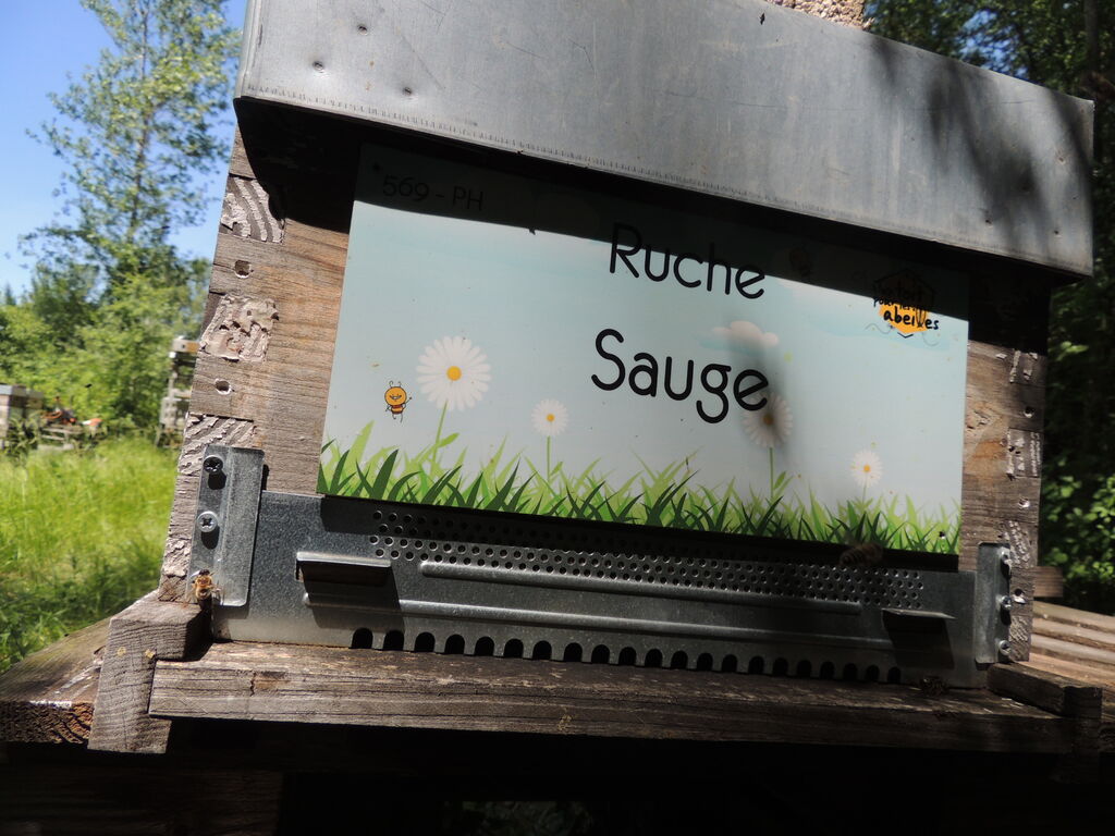 La ruche Sauge