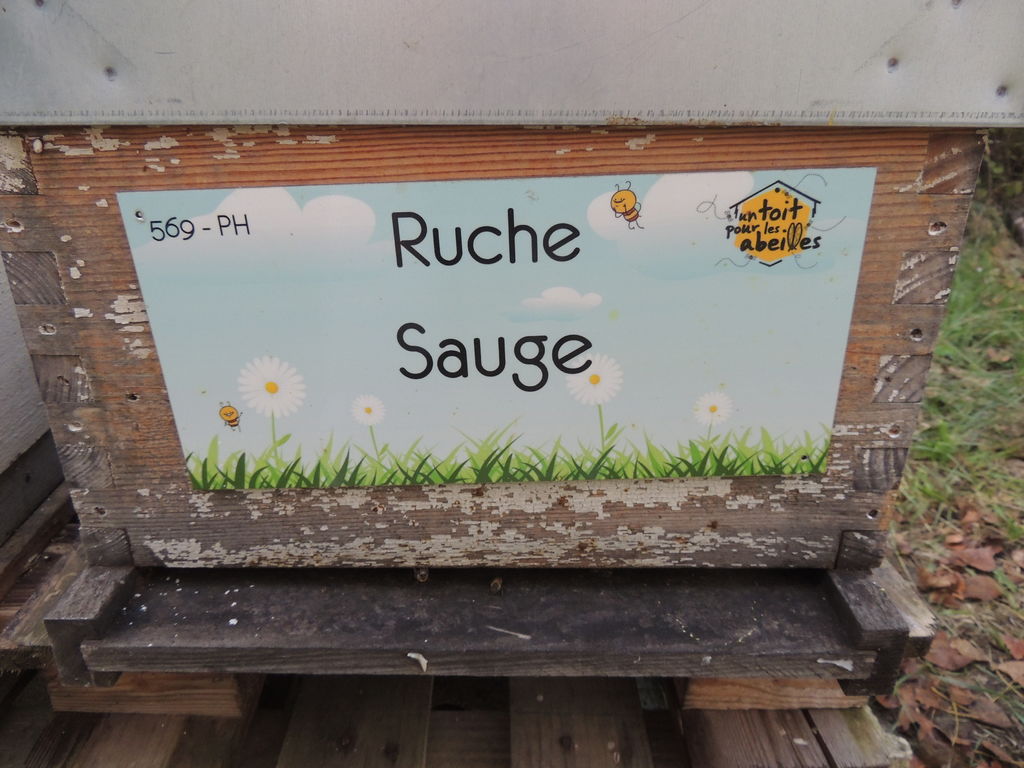 La ruche Sauge