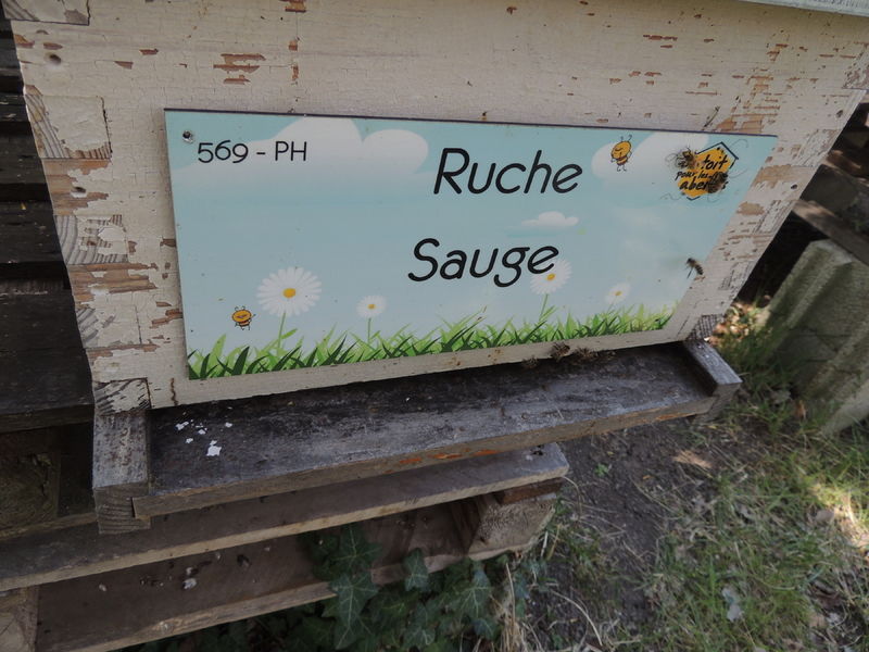 La ruche Sauge