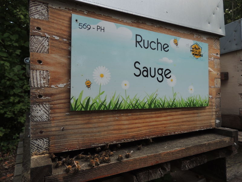 La ruche Sauge
