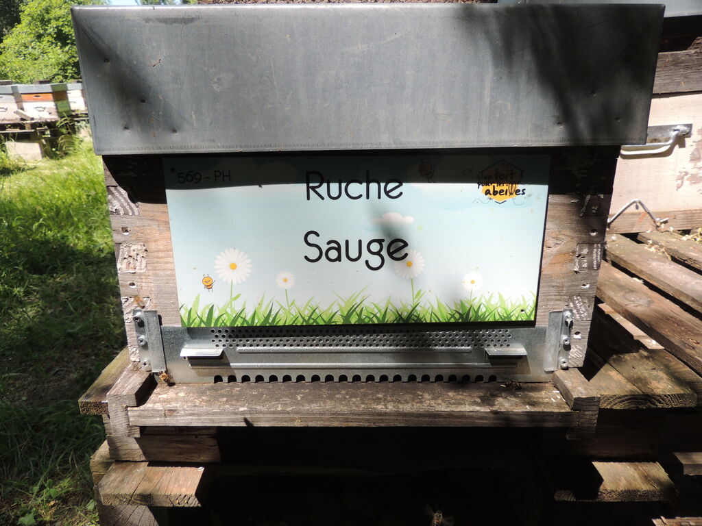 La ruche Sauge