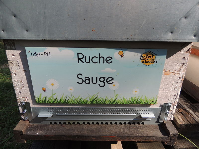 La ruche Sauge