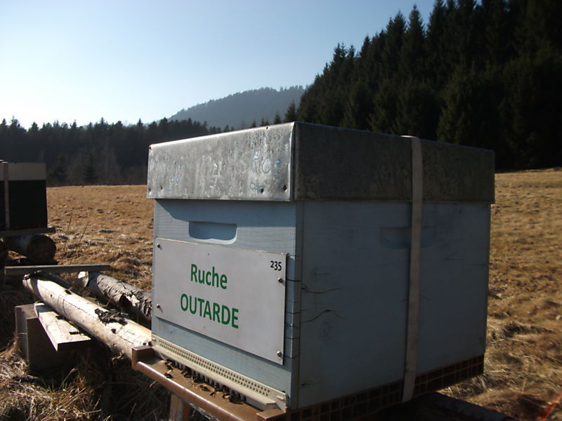 La ruche Outarde