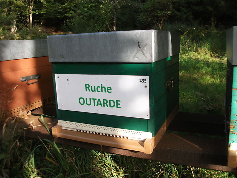 La ruche Outarde