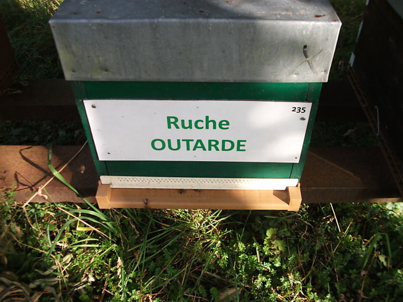 La ruche Outarde