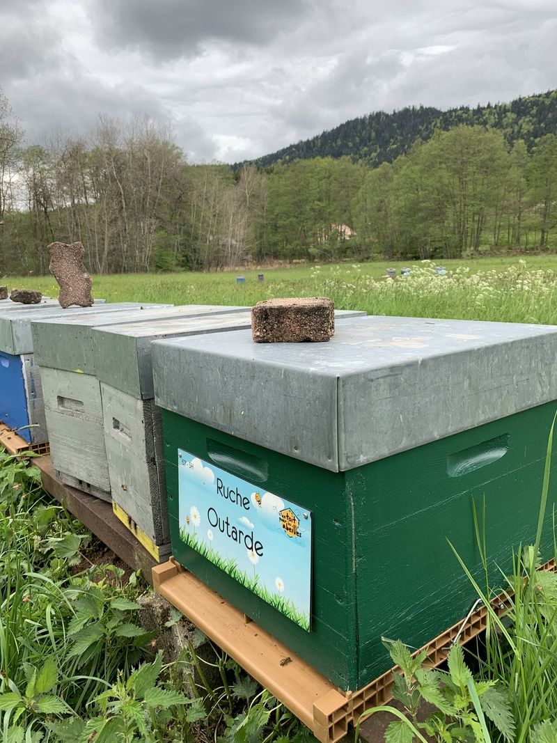 La ruche Outarde