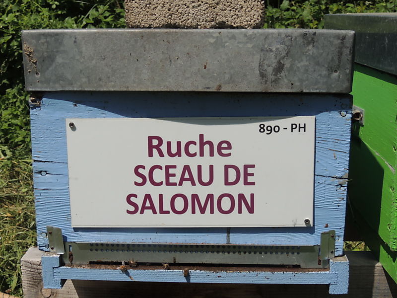 La ruche Sceau de salomon