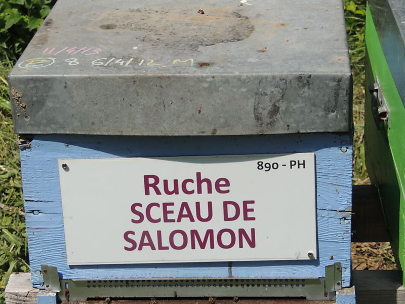 La ruche Sceau de salomon